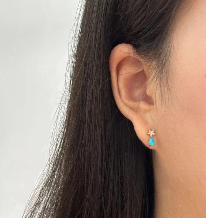 Diamond Star Turquoise Earrings